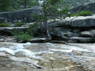 Tree upending large granite sheet along shore of Summit City Creek